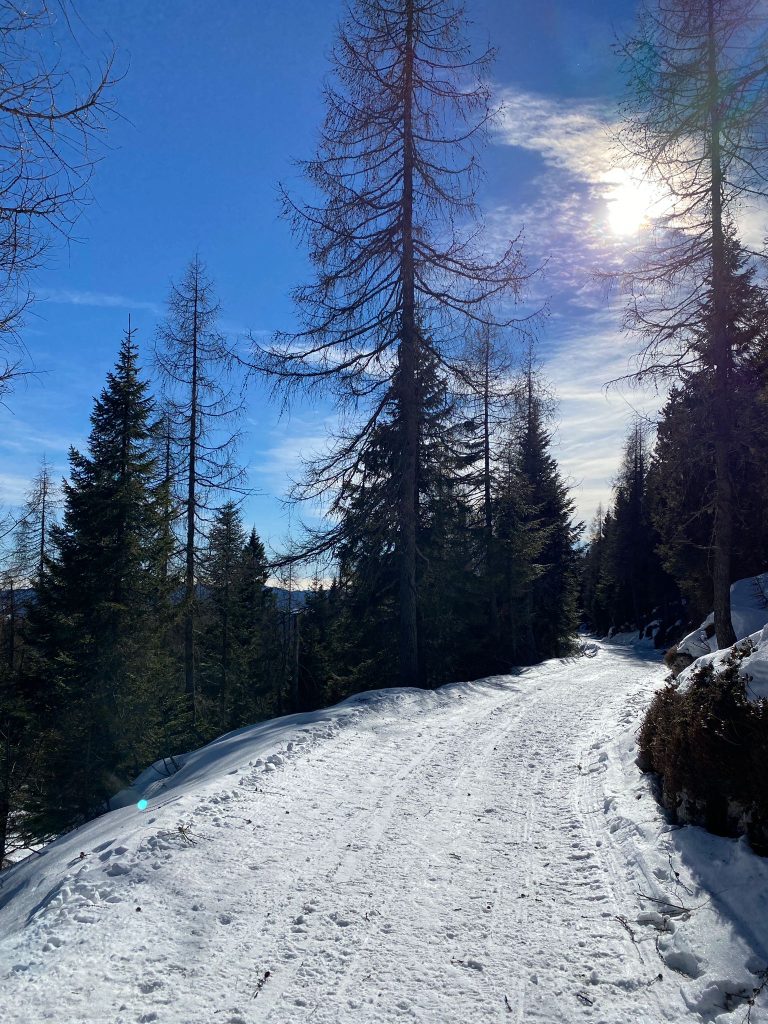Monte Verena neve